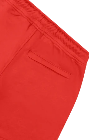 Syna World Syna Logo Shorts Red 1